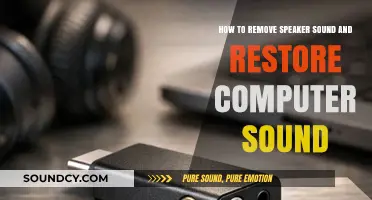 Troubleshooting Audio: Restoring Computer Sound After Speaker Issues