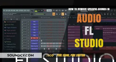 Mastering Silence: Removing Unwanted Sounds in FL Studio Audio