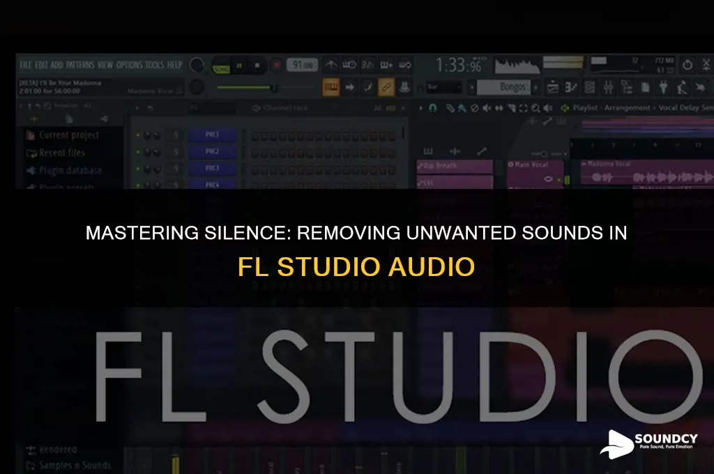 how to remove specific sounds in audio fl studio