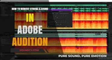 Mastering Audio Editing: Eliminate Strong 'S' Sounds in Adobe Audition