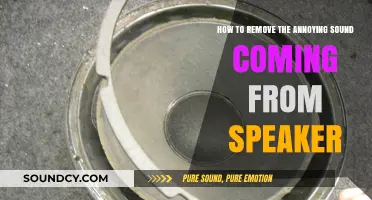 Silencing the Squeak: A Guide to Removing Annoying Speaker Sounds