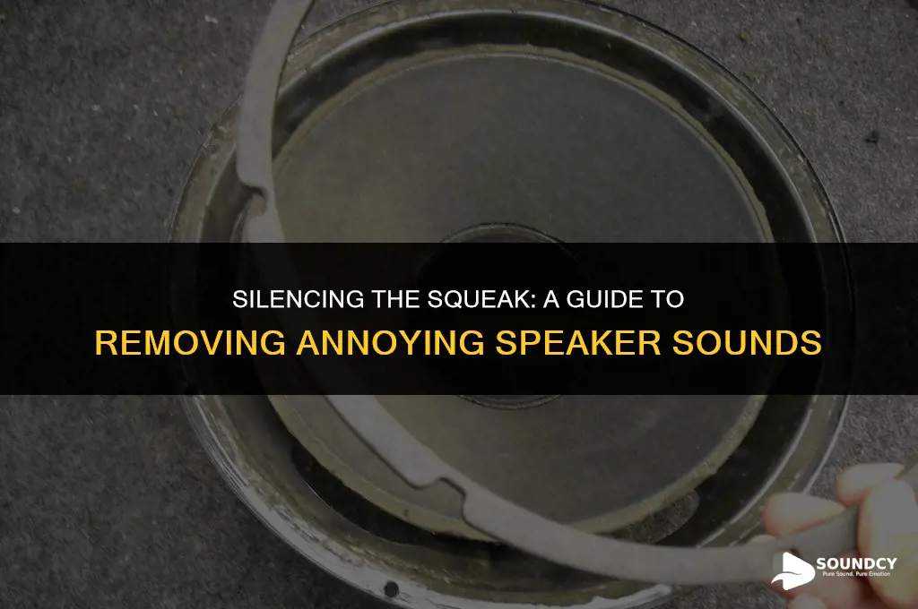 how to remove the annoying sound coming from speaker
