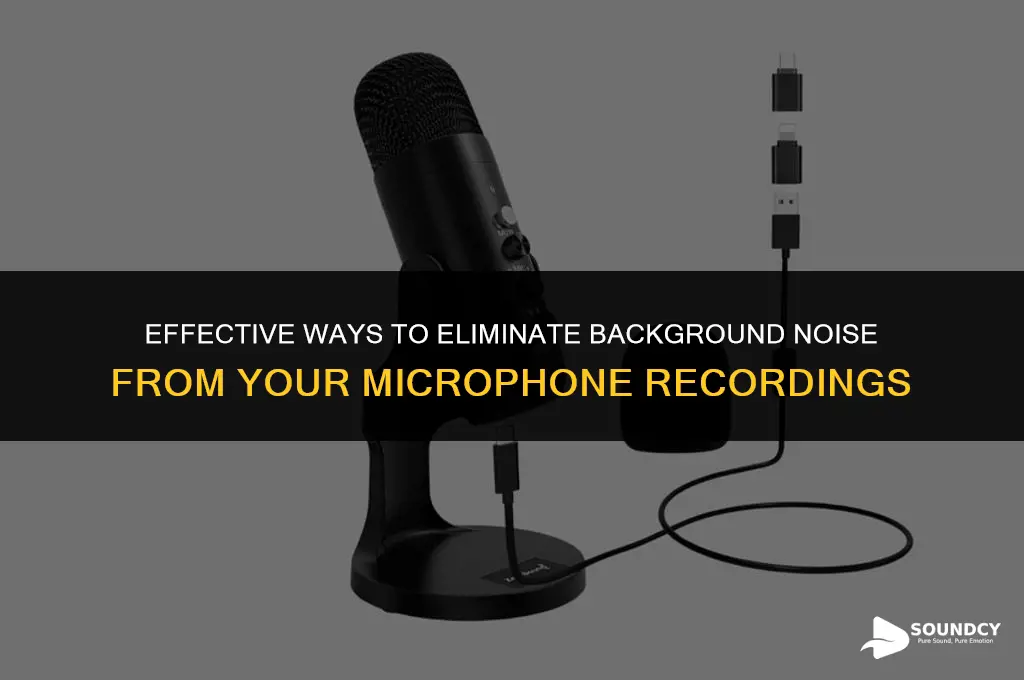 how to remove the background sound in a mic