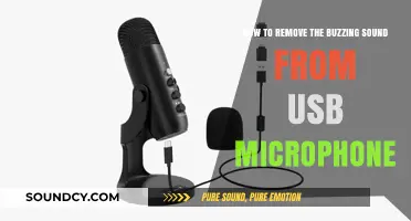 Silencing the Buzz: A Guide to Removing USB Microphone Noise