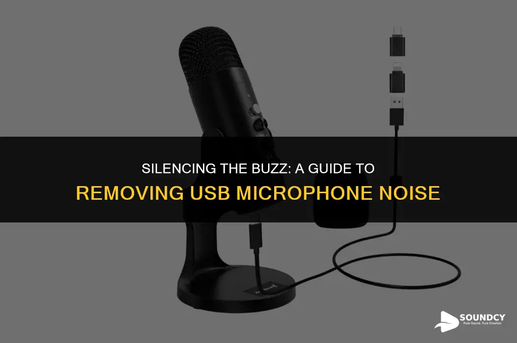 how to remove the buzzing sound from usb microphone