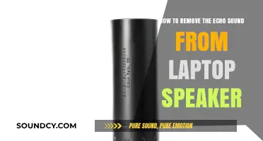 Banish Echo: A Guide to Clear Laptop Sound