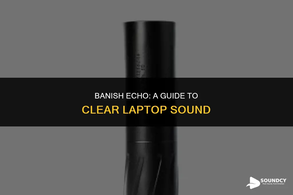 how to remove the echo sound from laptop speaker