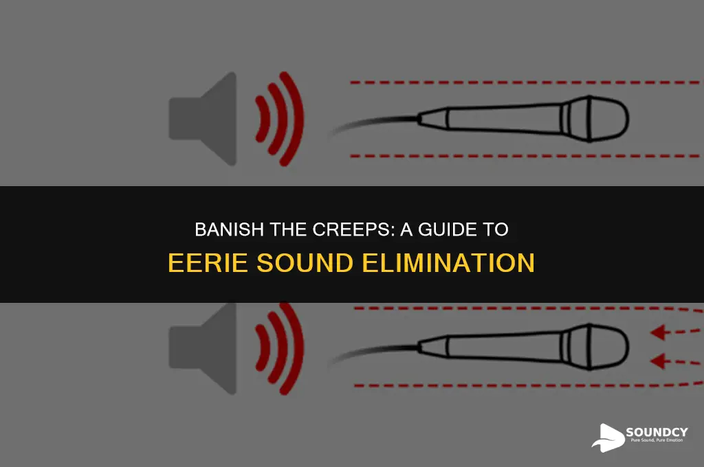 how to remove the eerie sound from a microphone