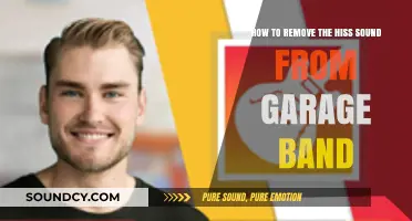 Silencing the Hiss: A Guide to Noise Reduction in GarageBand