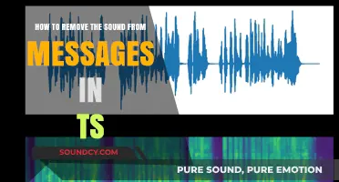 Silencing Notifications: A Guide to Removing Sound from Messages in TS