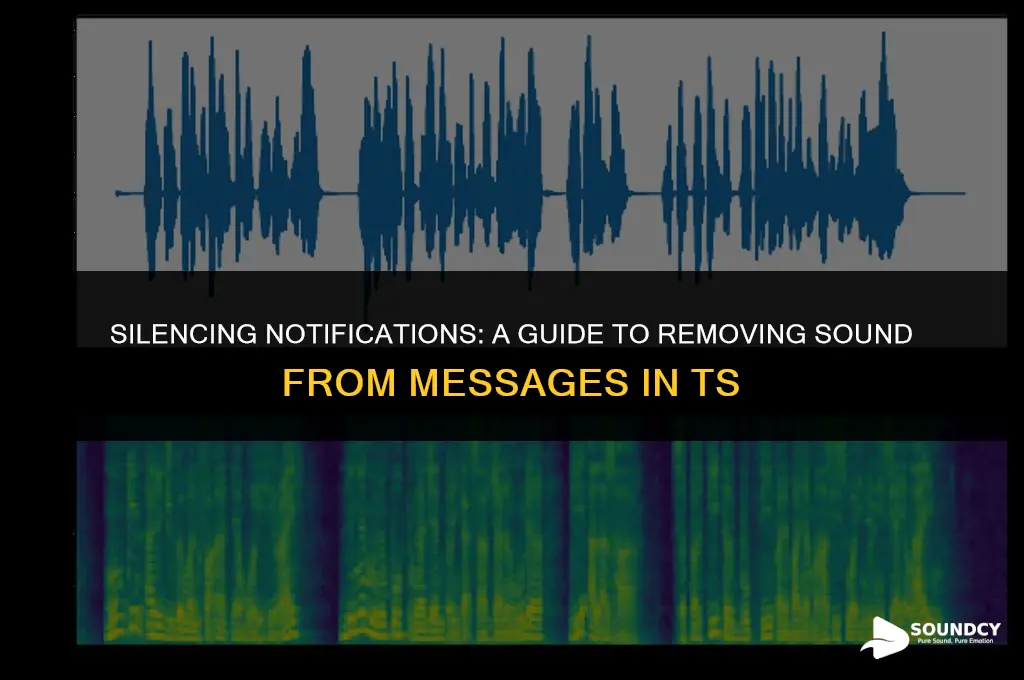 how to remove the sound from messages in ts