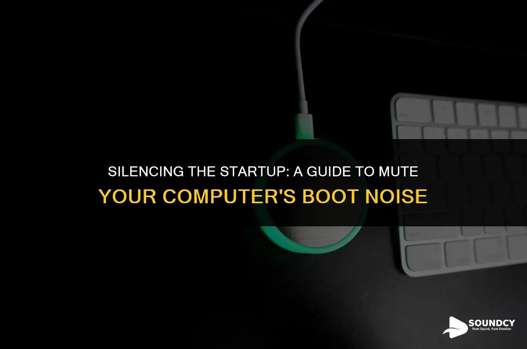 how to remove the sound when a computer start