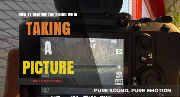 Snap in Silence: A Guide to Soundless Photography
