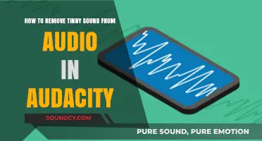 Banish the Tin: Mastering Audio Clarity in Audacity