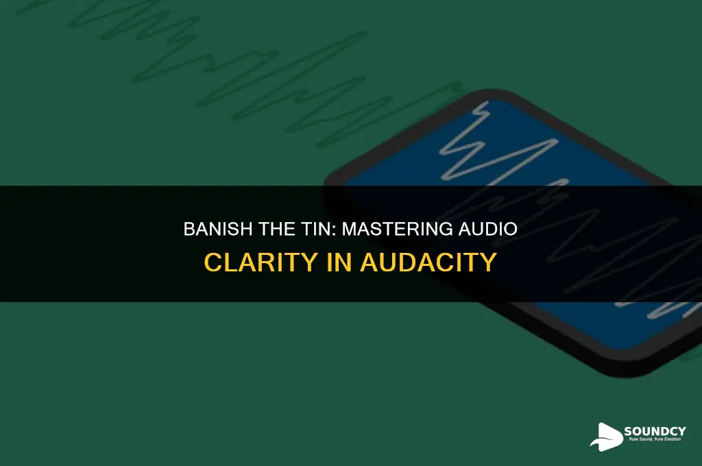 how to remove tinny sound from audio in audacity