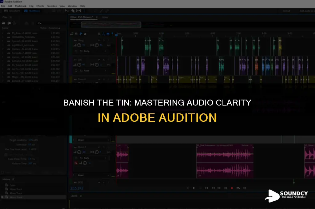 how to remove tinny sound from audio in audition
