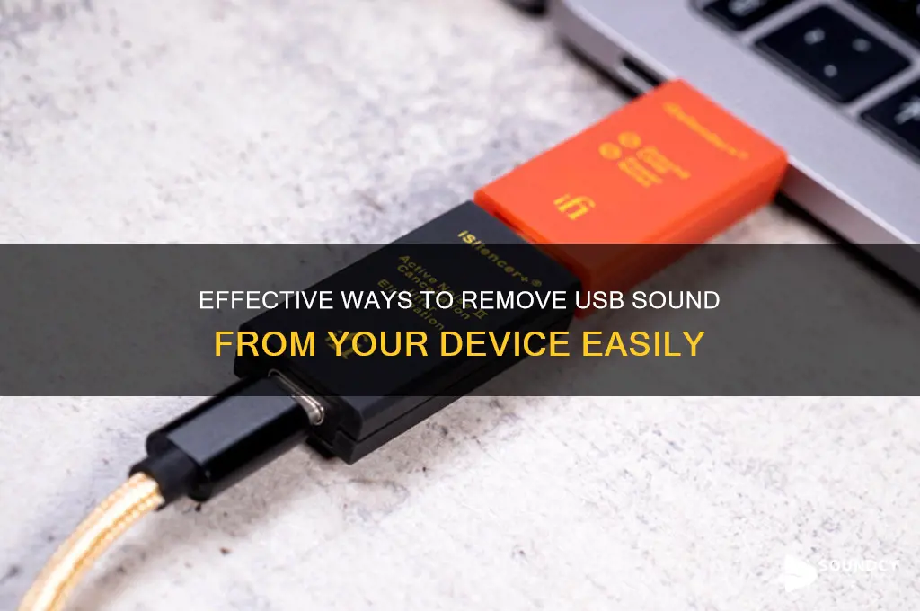 how to remove usb sound
