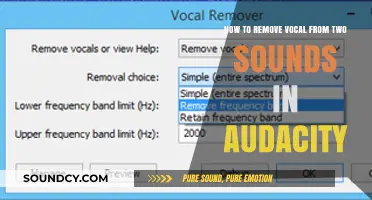 Efficiently Removing Vocals from Two Sounds in Audacity: A Step-by-Step Guide
