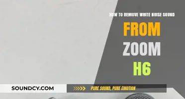 Effective Ways to Eliminate White Noise from Zoom H6 Recordings