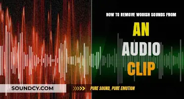 Effective Techniques to Eliminate Unwanted Wooish Noises from Audio Clips