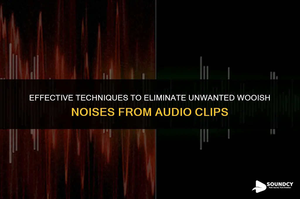 how to remove wooish sounds from an audio clip