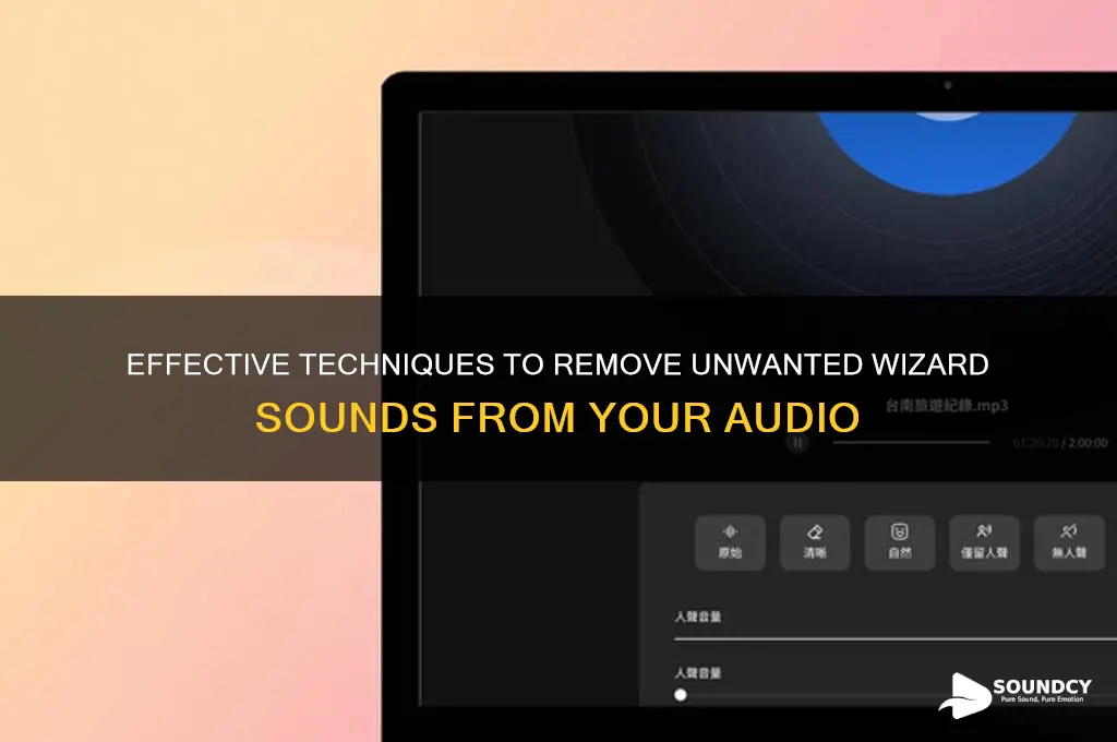 how to removed wizard sound