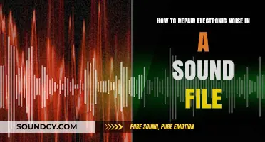 Restoring Audio Clarity: A Guide to Eliminating Electronic Noise from Sound Files