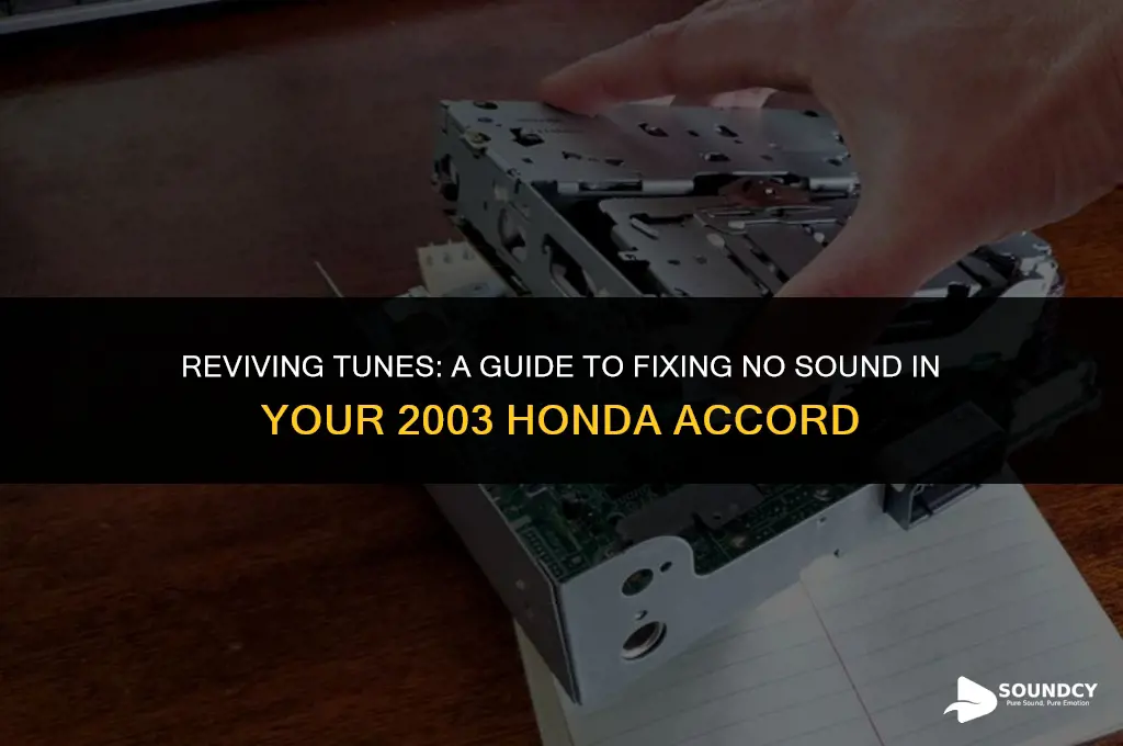 how to repair no sound for honda accord 2003