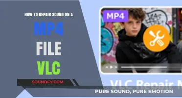 Fixing Sound Issues in MP4 Files with VLC Media Player