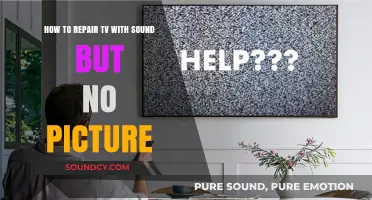 Troubleshooting TV Issues: Sound But No Picture