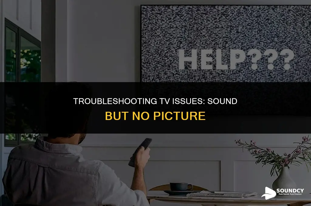 how to repair tv with sound but no picture