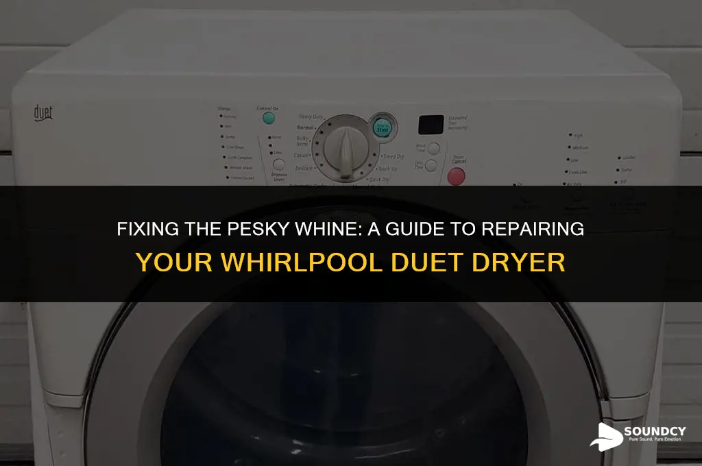 how to repair whinning sound on dryer duet whirlpool