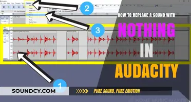 Silencing Sounds: A Step-by-Step Guide to Removing Audio in Audacity