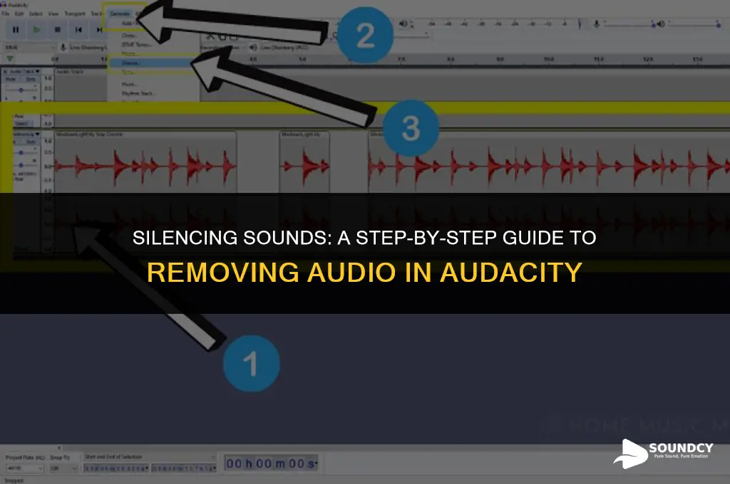 how to replace a sound with nothing in audacity