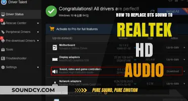 Upgrade Your Audio: Replacing DTS Sound with Realtek HD Audio