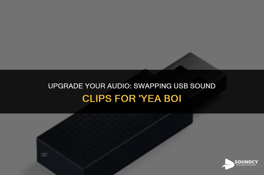 how to replace usb sound clip with yea boi