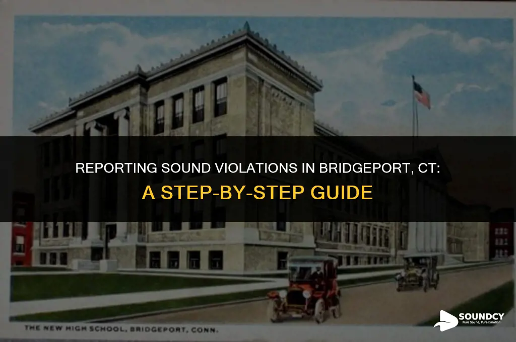 how to report a sound violation in bridgeport ct