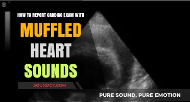 Reporting Cardiac Exams: Muffled Heart Sounds Explained