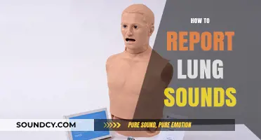 Mastering Lung Sound Reporting: Essential Techniques for Accurate Auscultation