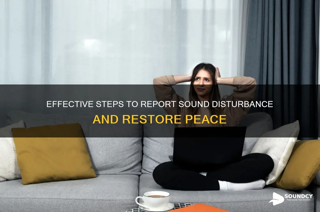 how to report sound disturbance