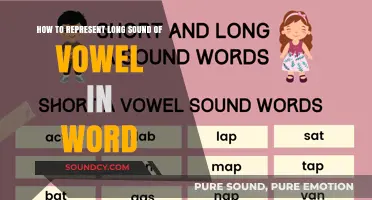 Mastering Vowel Sounds: A Guide to Representing Long Vowels in Words