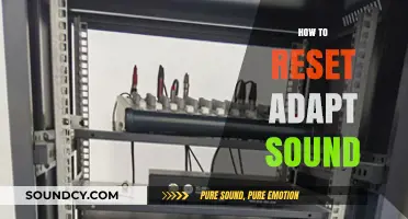 Mastering Audio Settings: A Guide to Resetting Adapt Sound