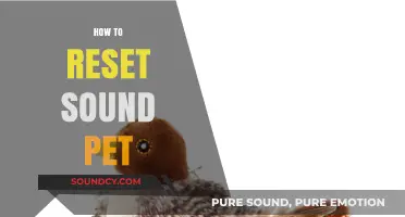 Quick Guide to Resetting Your Sound Pet Device Easily