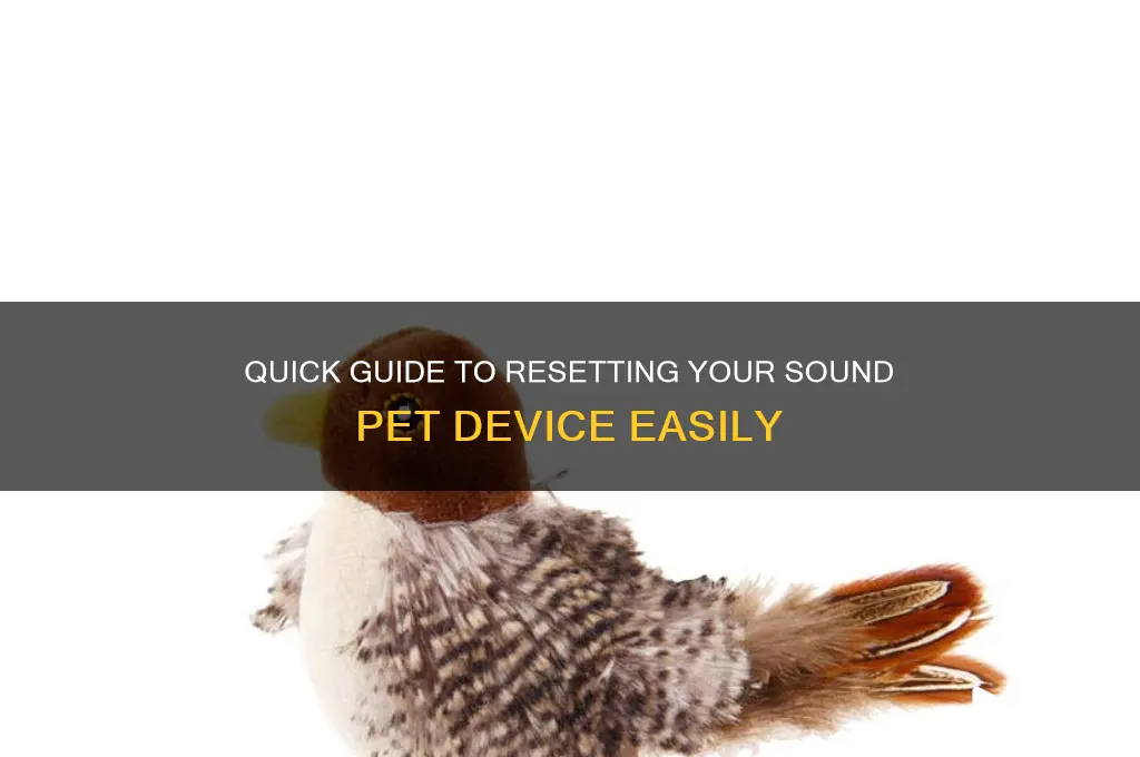 how to reset sound pet