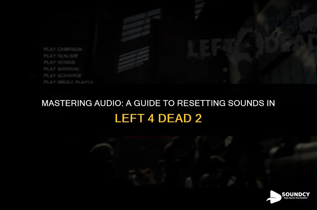 how to reset sounds in left for dead 2