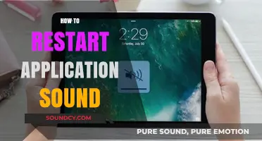 Quick Guide to Restarting Your Application's Sound Settings Easily