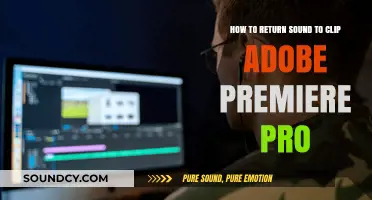 Restoring Audio in Adobe Premiere Pro: A Step-by-Step Guide