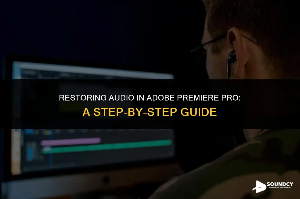 how to return sound to clip adobe premiere pro