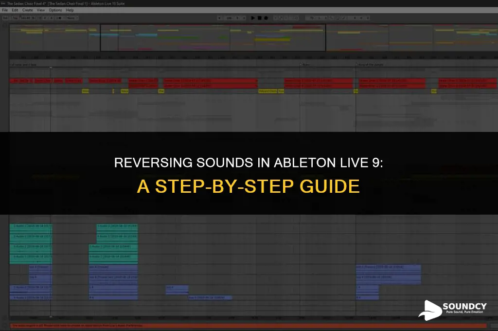 how to reverse a sound in ableton live 9