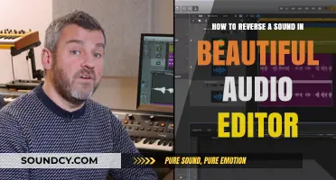 Reversing Sounds: A Step-by-Step Guide in Beautiful Audio Editor